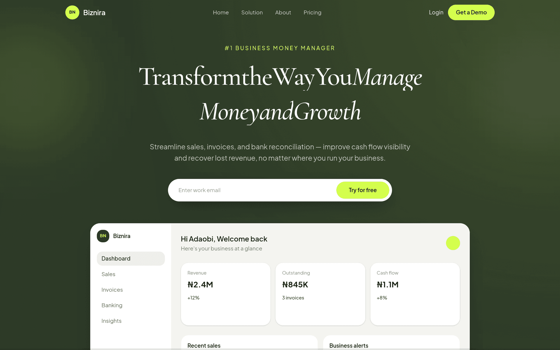 Biznira product screenshot